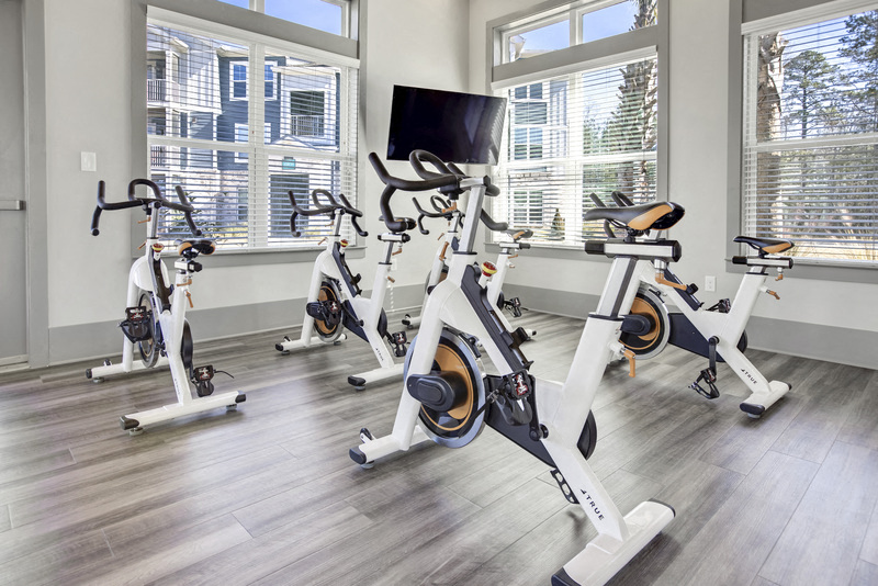 South City Apartments